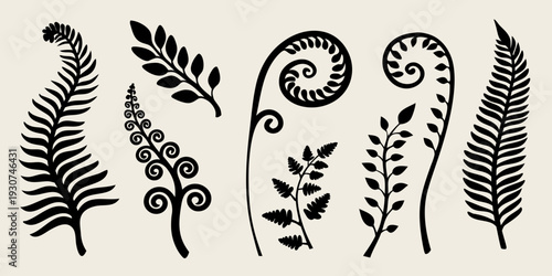 Black silhouettes of various fern fronds and leafy botanical elements