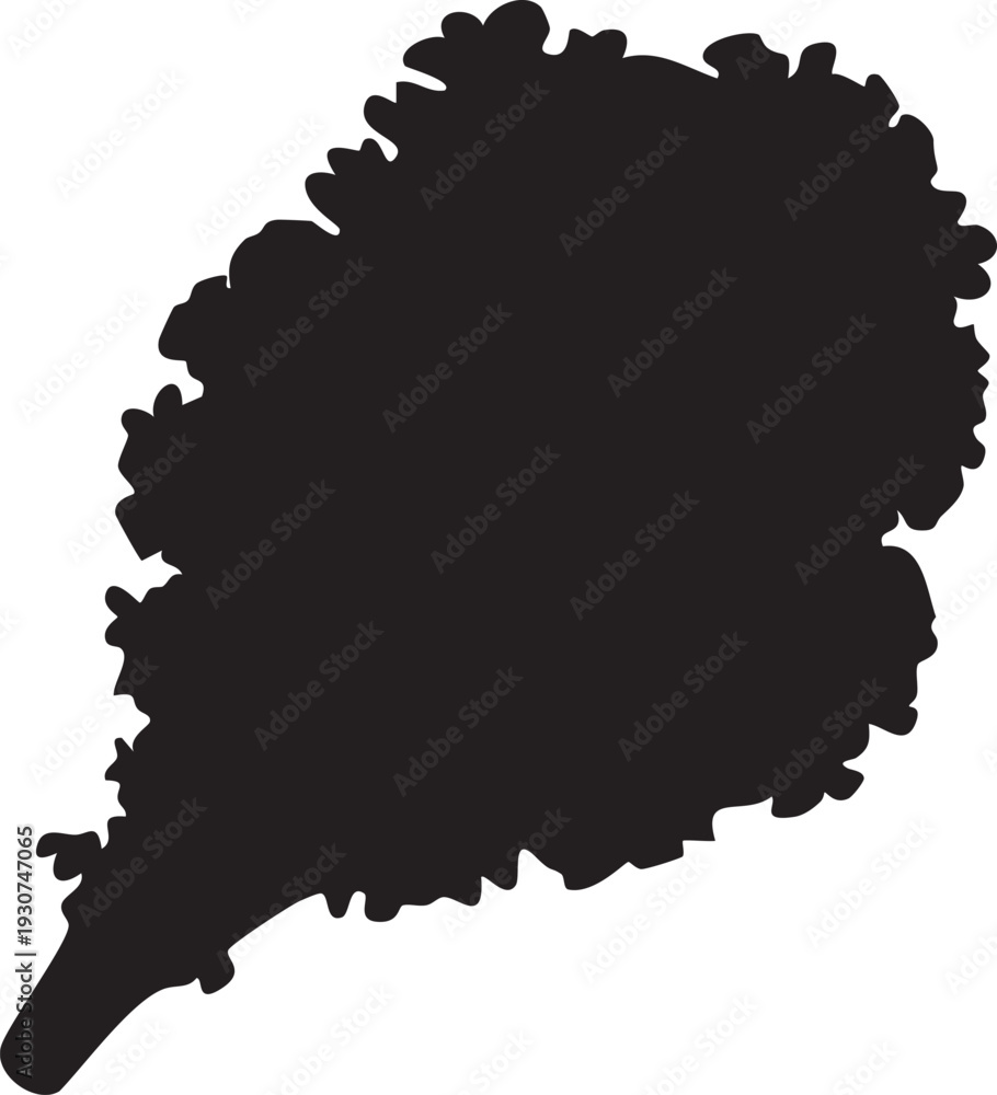Obraz premium A black silhouette of a leaf with detailed edges and stem