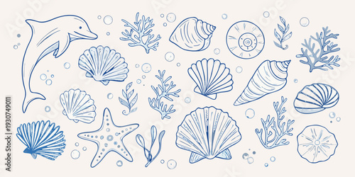 Blue line art illustration of marine life and seashells