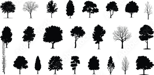 Collection of 24 black tree silhouettes in varied shapes and foliage densities, arranged in rows, ideal for botany studies, landscape design, and artistic illustration projects