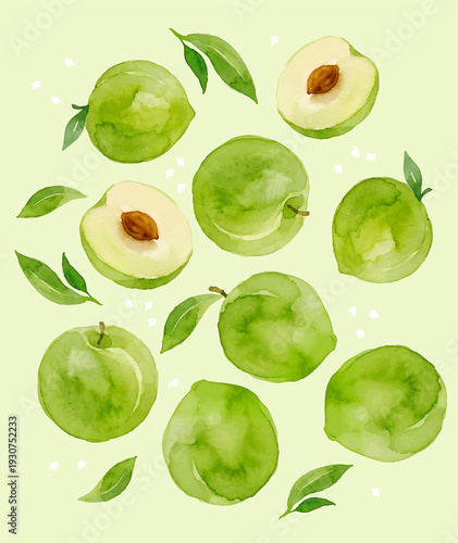 Watercolor Green Plum Seamless Pattern with Leaves Botanical Fruit Illustration