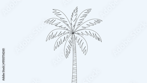 Simple black and white line drawing of a tropical palm tree with a tall slender trunk and large spreading fronds.