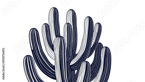 High contrast black and white graphic of a dense clump of saguaro cactus arms with intricate line shading on a white background.