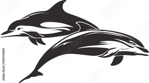 Elegant black and white vector illustration featuring two dynamic dolphins swimming gracefully. Stylized marine life design.