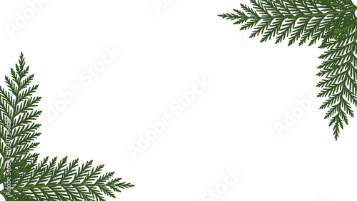 Minimalist border design featuring green fern or cedar branches in two opposite corners on a plain white background for card design.