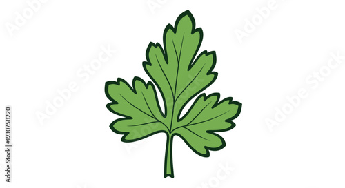 Green leaf with serrated edges.