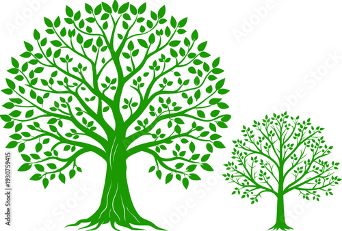 A comparison illustration of a large mature tree and a smaller young tree.