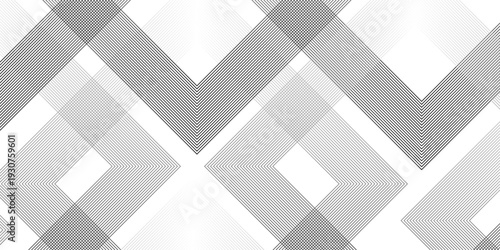 Geometric diagonal oblique vector curve gradient black and white graphic stripe line. Repeated fine diagonal lines Thin slash line stripes diagonal vector elegant background