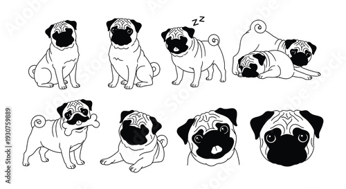 Black and white illustrations of pugs in various adorable poses