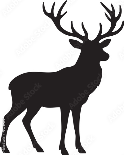 Wildlife Cinematic Animal Documentary 