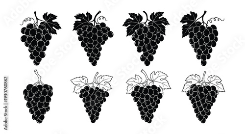 Illustrations of grape bunches in varying shades and arrangements