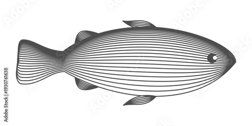 Striped fish silhouette vector illustration. Fish made of lines. Minimal marine wireframe animal design. For educational materials, and ocean or aquatic design projects. Abstract drawing.