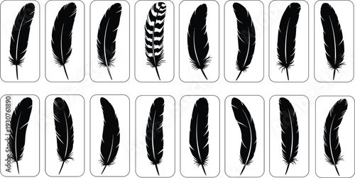 Black silhouette feather illustration set, detailed vintage quill collection isolated on gray background decorative vector elements for design and branding projects