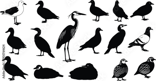 Water birds silhouette collection, duck seagull heron and quail vector set isolated on gray background for wildlife, nature and design projects