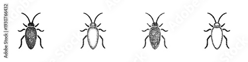 Sketch cockroach icon design set