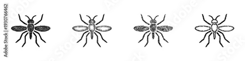 Sketch mosquito icon design set