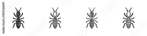 Sketch termite icon design set