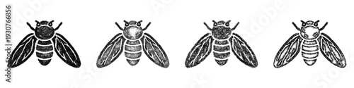 Sketch cicada icon design set