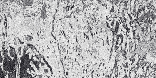 Organic monochrome textured background with fluid, irregular shapes and a subtle grainy effect, providing an abstract and artistic visual for design