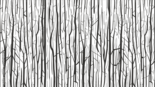 Abstract silhouette of black forest trees on transparent background for creative designs