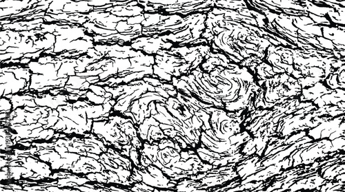 Detailed wood grain and bark texture vector for natural background and organic composition