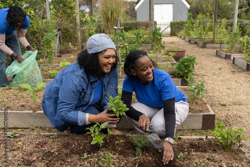 African American volunteers kneeling, planting seedlings with hand trowel in community garden beds