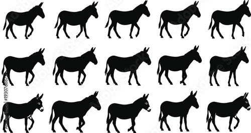 Set of Fifteen Black Donkey Silhouettes in Different Walking and Standing Poses Isolated on White Background for Farm Animal Design