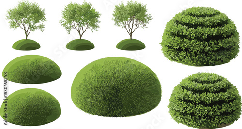 Set of Green Garden Shrubbery and Small Tree Illustrations on Grass Mounds Isolated on White Background for Landscape Design and Park Planning