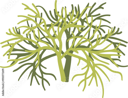 김장속 재료 해조류인 청각