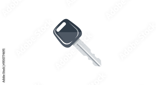 A minimalistic illustration of a car key on a white background, representing access and security