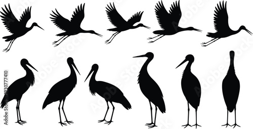 Stork silhouette flying and standing sequence, black bird silhouettes in motion and still poses, cad drawing flat vector illustration, isolated on white background