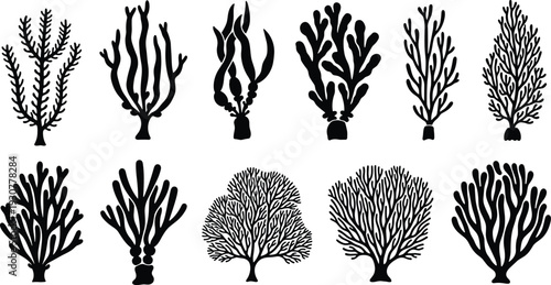Black silhouette collection of coral reefs, seaweed, and underwater plants, vector marine flora icons for ocean nature and aquarium design.