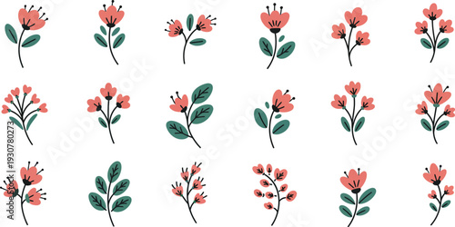Collection of pink and red flowers with green leaves on white background