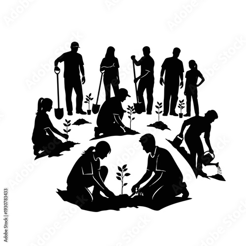 Group of Volunteers Planting Saplings Together to Restore the Environment.