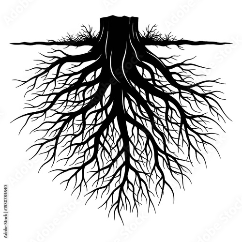 Intricate inverted tree with expansive downward roots forming a dramatic black silhouette.