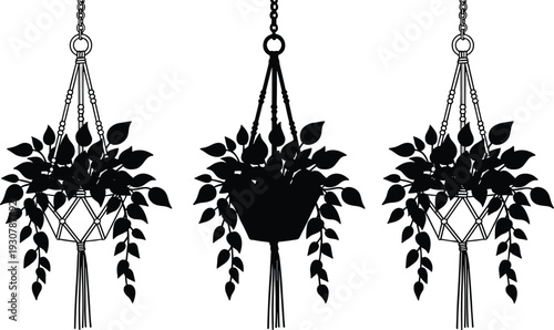 Set of three hanging macrame plant hanger silhouettes featuring trailing indoor ivy plants in black isolated on white for laser cut or vinyl decals