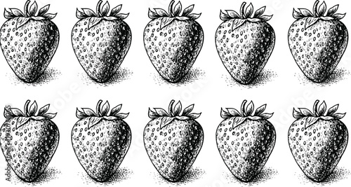 Vintage hand drawn woodcut style strawberry illustration set with detailed cross hatching and stippling texture isolated on white background for organic food product packaging