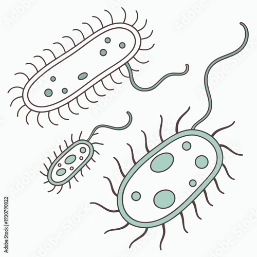 Bacteria with flagella and cilia microorganisms microbes
