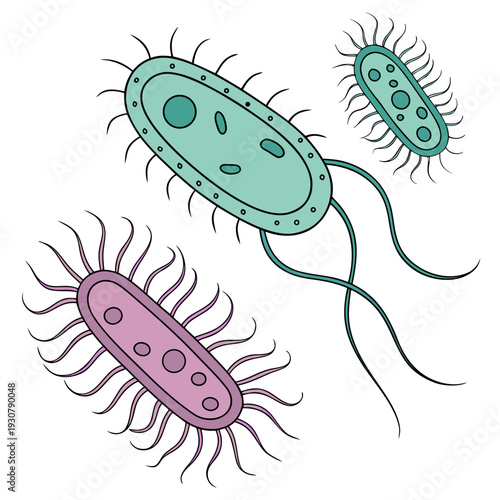 Bacteria with flagella and pili microorganisms microbes