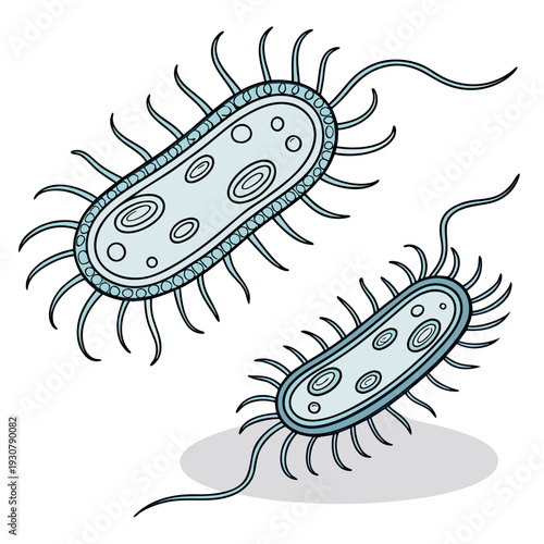 Oval shaped bacteria with flagella and pili microorganism