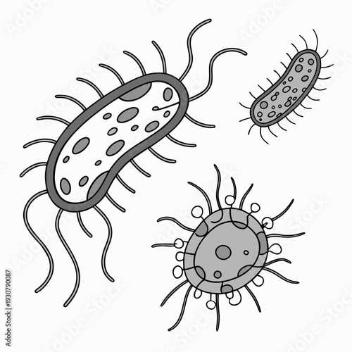 Gray of bacteria with flagella and capsules microorganisms