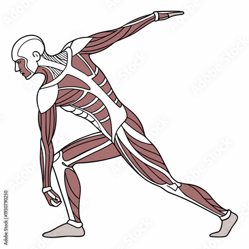 Muscular male figure in side lunge pose with exposed anatomy