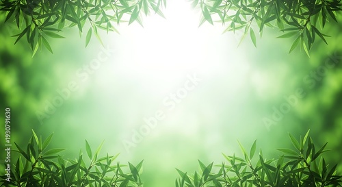 Vibrant green leaves frame sunny natural background with soft focus