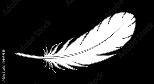 White Feather on Black Background.