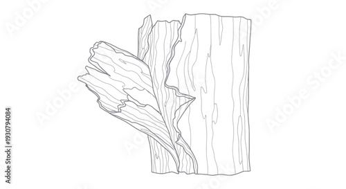 Detailed Line Drawing of Wooden Log Fragment.