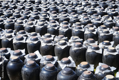 Traditional Black Vinegar Jars Tsubobatake Field in Kagoshima, Japan - 日本 鹿児島 黒酢 壺畑