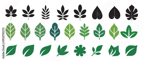 Sharp green leaf icons and organic botanical symbols set. vector illustration eps 10