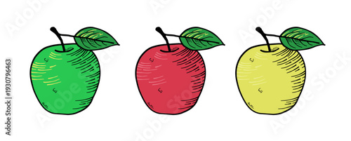 3 Colorful apples, hand drawn fruit set. Vector illustration in line art style of green, red, yellow apple with leaf. Isolated