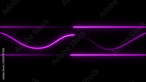Purple Neon Waves and Lines Against Black light