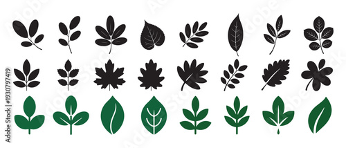 Mixed black and green leaf silhouettes for forest design. vector illustration eps 10